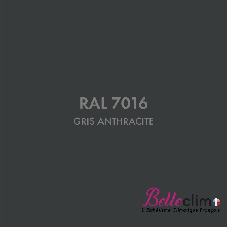 Gris Anthracite RAL7016