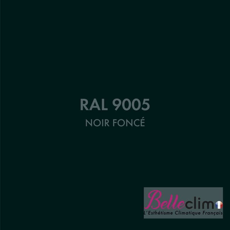 Noir RAL 9005